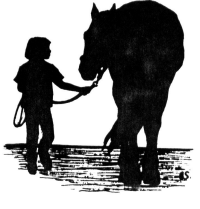 child leading horse